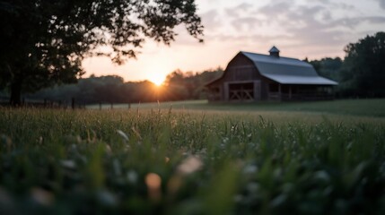 Aufkleber - A generic structure sits under a vibrant sunset in a green field. The low-angle shot focuses on the grass illuminated by the golden sunlight with a blurred foreground and background. The sky is