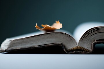 Poster - Close-up of open antique book with dry leaf resting on aged pages, low-key lighting