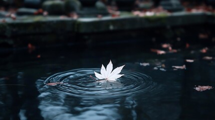 Leinwandbilder - A single white leaf floats on the surface of dark water creating concentric ripples. The background features blurred greenery and stone structures, evoking a sense of serenity
