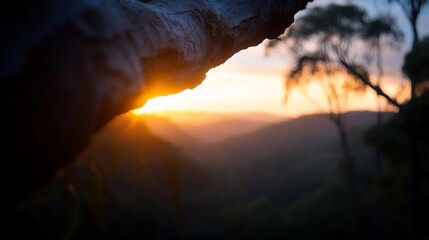 Aufkleber - Scenic sunset view over a mountainous landscape with a focus on the warm colors of the setting sun. A tree branch frames the foreground