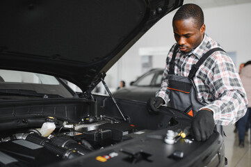 Poster - Skilled mechanic technician working at service station, repairing car