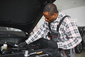 Poster - Auto mechanic performing a routine service inspection in a service garage