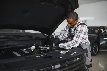 Poster - Car mechanic in auto repair service