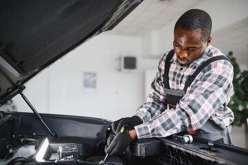 Poster - portrait of positive afro american auto mechanic in uniform, he is keen on repairing cars, automobiles