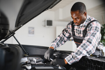 Poster - Skilled mechanic technician working at service station, repairing car