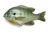 160_f_1414495767_9l91xgm3rpbftwlve0ehdaivwzokajit