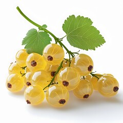 Poster - A bunch of vibrant yellow currants on a white background. Isolated on a white background. Close-up of a Bunch of Fresh Yellow Currants