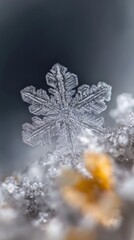 Poster - Macro Snowflake Crystal Capturing Winter's Beauty in Detailed Structure and Frozen Elegance on a Cold Day