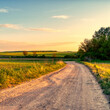© Nikolett - Dirt road in the hungarian countryside in spring