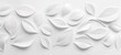 © Alokya - Several delicate white leaves arranged across a white background