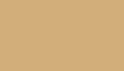 Poster - Warm light brown textured surface providing neutral background with soft, organic depth for design and photography projects