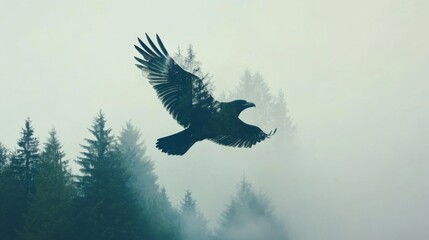Wall Mural - double exposure of a bird flying across a sky layered with forest trees, artistic nature scene, clea