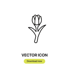 Fototapete - Tulip icon vector. Linear-style sign for mobile concept and web design. Tulip symbol illustration. Pixel vector graphics - Vector.	
