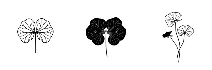 Poster - Vector illustration of various types of leaf designs showcasing intricate shapes and patterns against a minimal backdrop