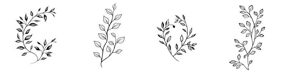 Poster - Elegant vector illustration of slender botanical leaves in various arrangements perfect for decoration and design purposes