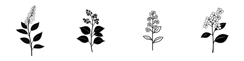 Poster - Vector illustration of various flower designs featuring different plant shapes and leaf patterns for decorative use