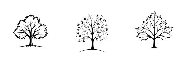 Poster - Vector illustration of three distinct tree designs showcasing seasonal changes