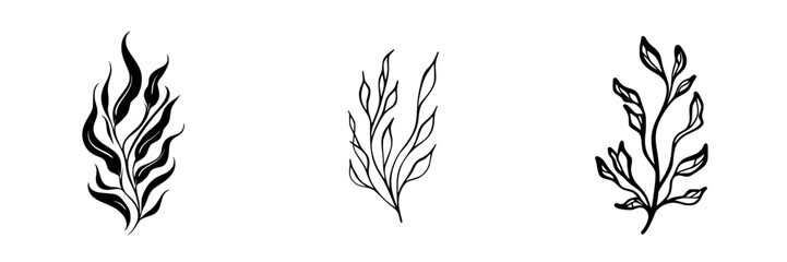 Poster - Vector illustration of elegant botanical designs featuring various leaf shapes and styles for creative projects