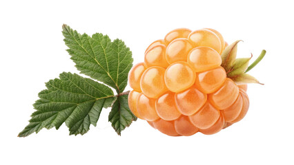 Poster - soft orange cloudberry with glowing appearance is isolated on transparency background, accompanied by vibrant green leaves, showcasing its natural beauty