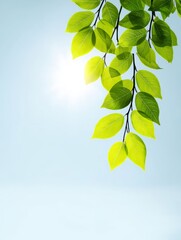 Poster - Sunlit Green Leaves Against Blue Sky - Nature, spring, growth, freshness, serenity. Symbol of new beginnings, vibrant life, and peaceful environment