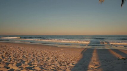 Poster - Golden hour sunlight casts long shadows of a palm tree and a person on a pristine sandy beach, with gentle waves lapping at the shore in a serene tropical paradise
