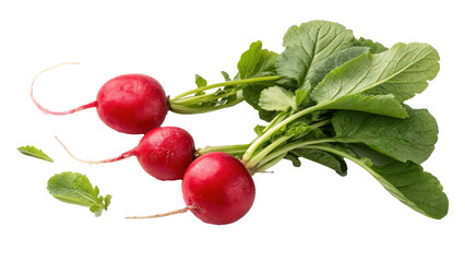 Poster - Red radishes with green tops and round shape are freshly harvested, showcasing vibrant colors and crisp textures. radishes are isolated transparency background, highlighting their natural beauty
