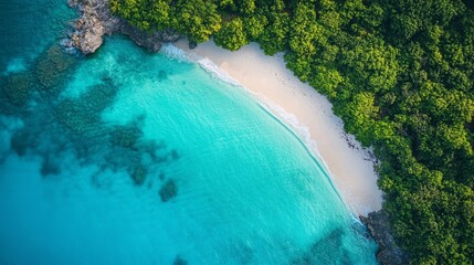 Aufkleber - Crystal-clear turquoise waters gently kiss a pristine sandy shore, surrounded by vibrant green trees under a bright blue sky, creating a tranquil tropical escape