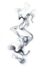Poster - Artistic black smoke swirl on white background, creating an abstract flowing pattern.