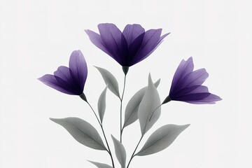 Poster - Purple flowers against a soft white background create a serene and elegant ambiance in a minimalist composition