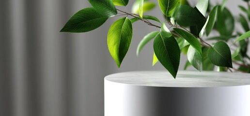 Poster - A 3D rendering of a white product display podium adorned with natural leaves