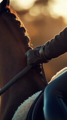 Poster - Close-up shot of a person gently touching a horse's bridle, suitable for equine-themed illustrations or stories about human-animal connection.
