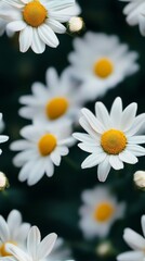 Poster - Delicate Daisies Bloom Amidst a Soft, Geometric Backdrop, Creating a Serene and Refreshing Atmosphere of Nature's Charm