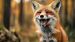 © Affan - A fox laughing hysterically at its own joke --ar 16:9 --v 6.1 Job ID: f7c4215e-8205-43c3-b041-daf146f5c56e