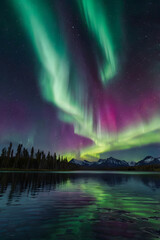 northern lights aurora borealis