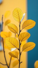Wall Mural - Golden leaves on a dark stem are set against colorful building, creating striking vertical composition