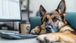 © Nat_Photo_AI - Relaxed German Shepherd Dog at Office Desk with Computer and Coffee Cup in Modern Workspace Setting