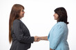 © Pix4Ads - Indian two corporate woman doing shake hands while standing on white background