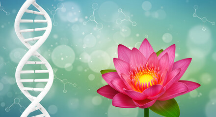 Poster - White Dna Helix Model Next to a Blooming Pink Lotus Flower on Turquoise Background