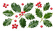 © Hamza - Festive holly leaves and bright red berries scattered on a pure white background, evoking the spirit of Christmas cheer and winter holidays.