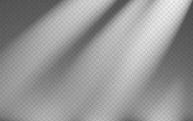 Wall Mural - abstract shadow overlay from foliage on a transparent background.