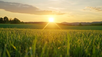 Poster - Golden sunset lighting up flat grassy field with rolling hills in the distance creating serene nature landscape : Generative AI