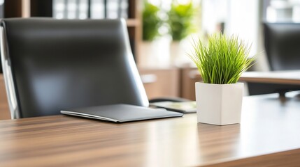 Poster - Bright and Stylish Office Desk with Green Plant and Clean Workspace : Generative AI