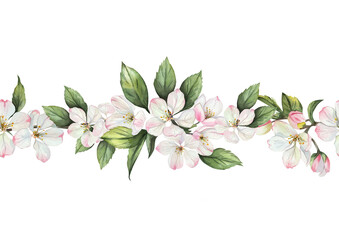 Blooming apple tree branch. Seamless watercolor border. Botanical illustration with delicate flowers and green leaves. Isolated on a white background. For textiles, cards, invitations, weddings