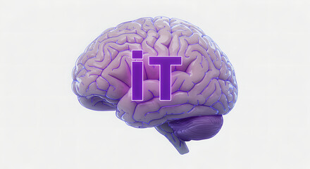 Poster - Human brain with 