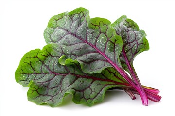 Wall Mural - Fresh vibrant green leaves of chard isolated on white background