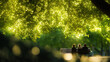 © lian - people sharing a quiet moment on a park bench, bathed in sunlight. A serene connection amidst nature.