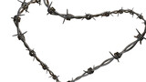 barbed wire frame