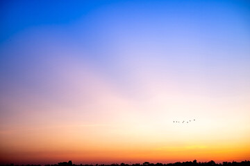 Wall Mural - beautiful , luxury soft gradient orange gold clouds and sunlight on the blue sky perfect for the bac