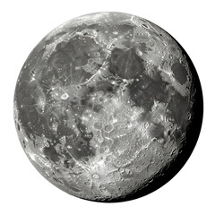 Wall Mural - full moon with craters