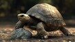 © Haidar - A turtle looking extremely dramatic while trying to climb a tiny rock --ar 16:9 --v 6.1 Job ID: 2be51bb8-31fa-4901-94c8-5623c7d0e042